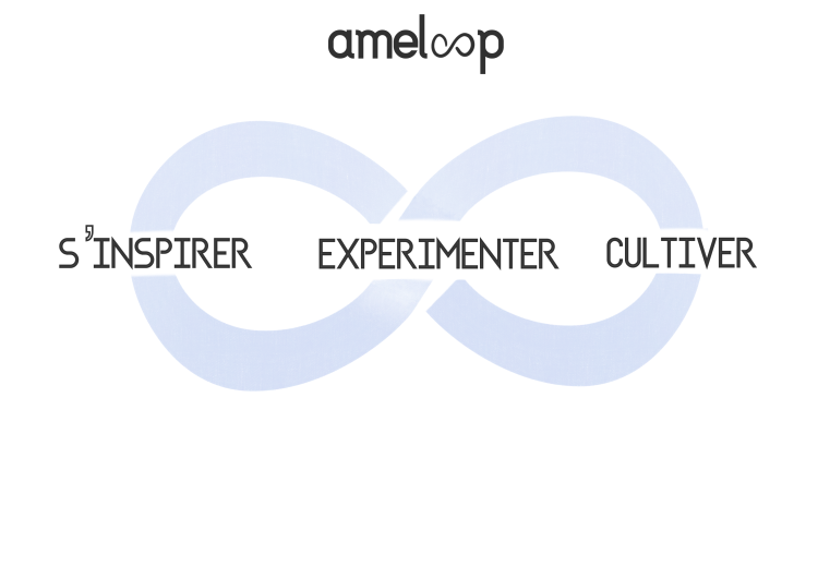 ameloop